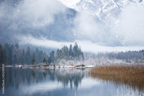 Mountain Lake with Reed Grass and Conifer Trees on a Misty Winter Day in Snowy Austria