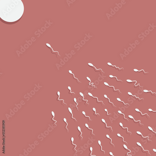 Vector spermatozoon semen, floating to ovule