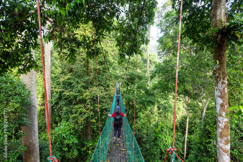 Unidentified Woman walking at the tree top canopy walkway in Danum Valley rainforest Lahad Datu Sabah Malaysia photo