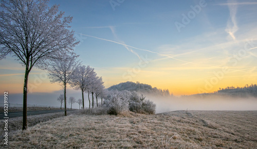 Harzlandschaft im Winter Sonnenaufgang
