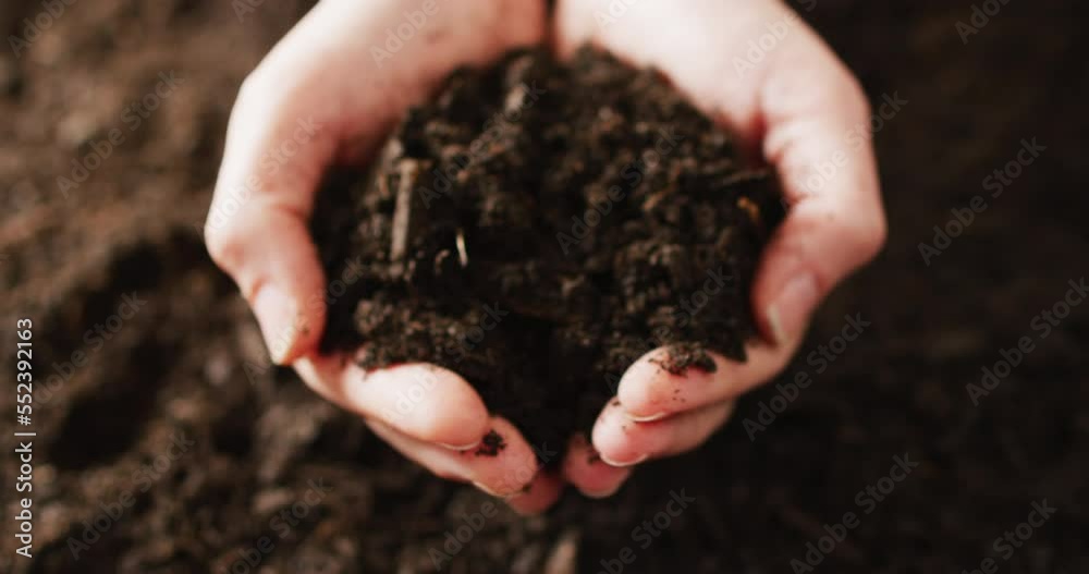 Overhead close up video of hands of caucasian person cupping rich dark soil Overhead close up video of hands of caucasian person cupping rich dark soil