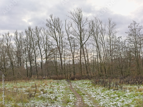 Frozen meadow and  bare trees on a cloudy winter day in  Damvallei nature reserve, Ghent, Flanders, Belgium photo