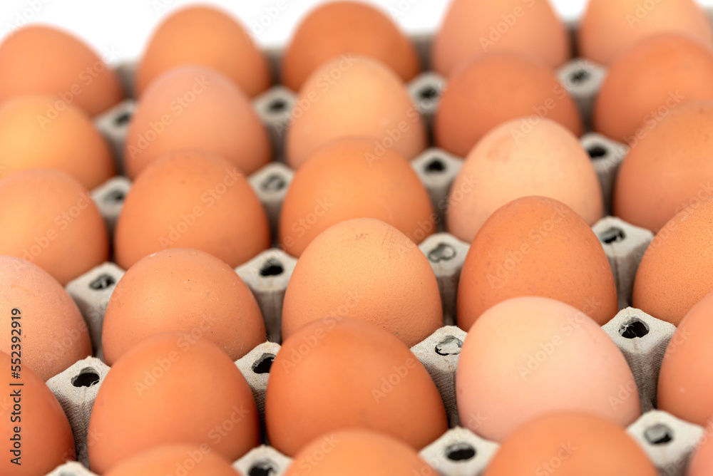 many eggs in the Reusable Egg Storage Carton Boxes many eggs in the Reusable Egg Storage Carton Boxes