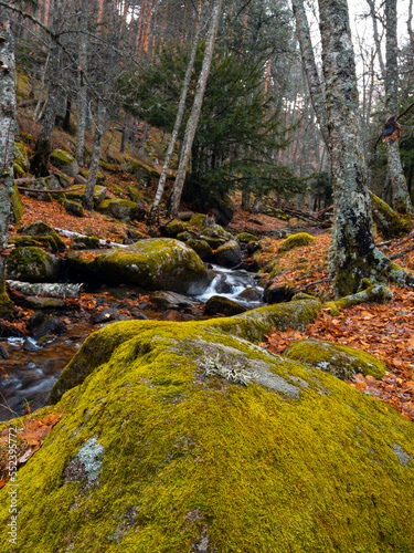 Arroyo Canencia en otoño photo