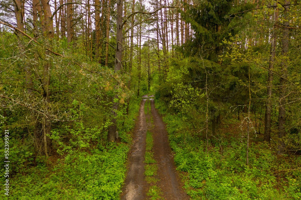 Fototapeta premium Drone photography of forest dirt road
