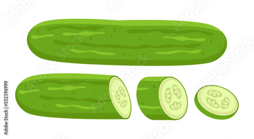 Cut and sliced cucumber or zucchini vector illustrations set. Collection of cartoon drawings of slices of green vegetable, whole and cut cucumber or zucchini. Food, nutrition, diet concept