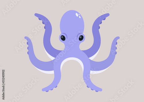 An isolated octopus with purple tentacles, wild life, ocean and sea