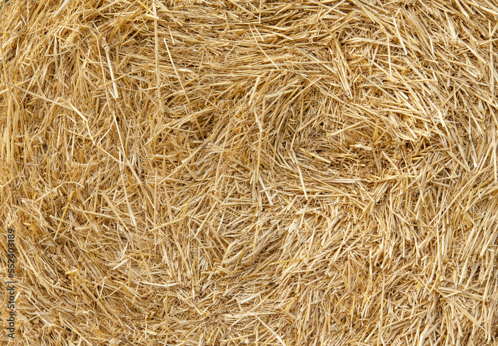 Hay texture. Hay bales are stacked in large stacks. Harvesting in agriculture. Hay texture. Hay bales are stacked in large stacks. Harvesting in agriculture.