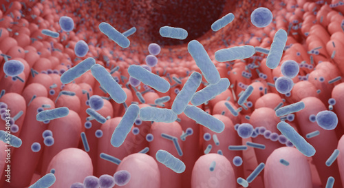 Healthy microbiome concept, Intestinal bacteria