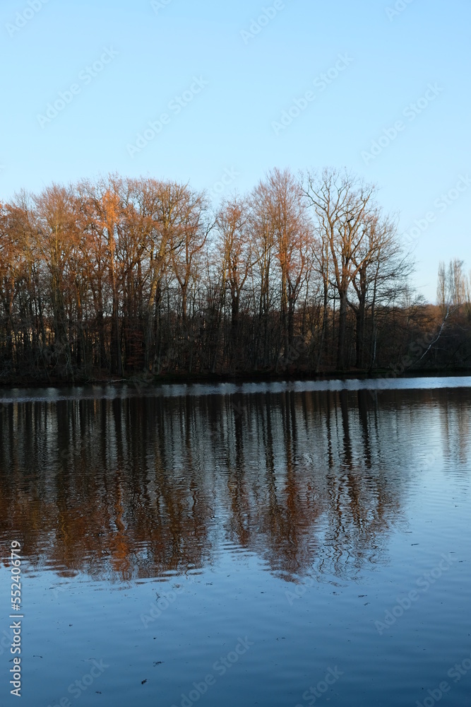 FU 2021-11-27 Gierath 40 Auf der Wasseroberfläche des Sees spiegelt sich der Wald