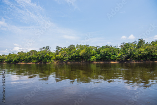 Beautiful landscape of the Amazon Rainforest - Amazonas, Brazil