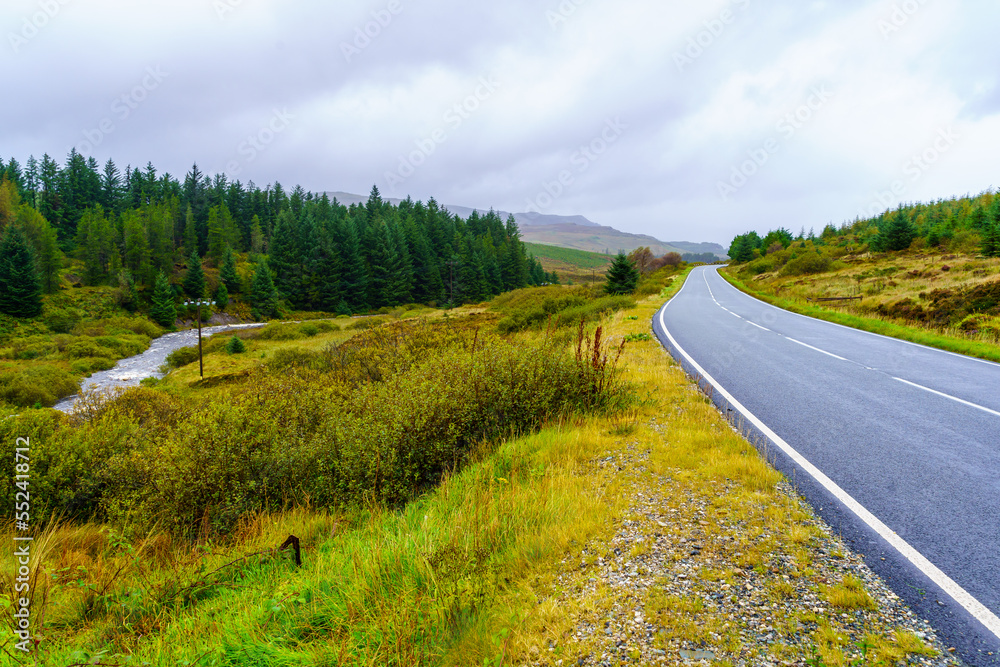 Naklejka premium Trees and stream landscape, in the Isle of Skye