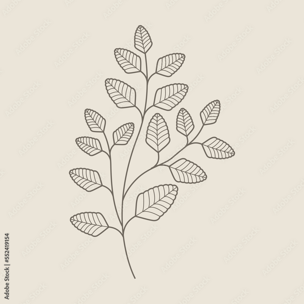Hand Draw Floral Decoration Element Hand Draw Floral Decoration Element