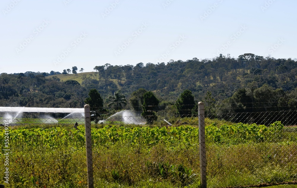 Fototapeta premium agricultura irrigada no sul do Brasil