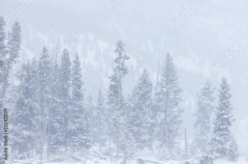 Scenic Snow Covered Landscape in Yellowstone National Park Wyoming in Winter