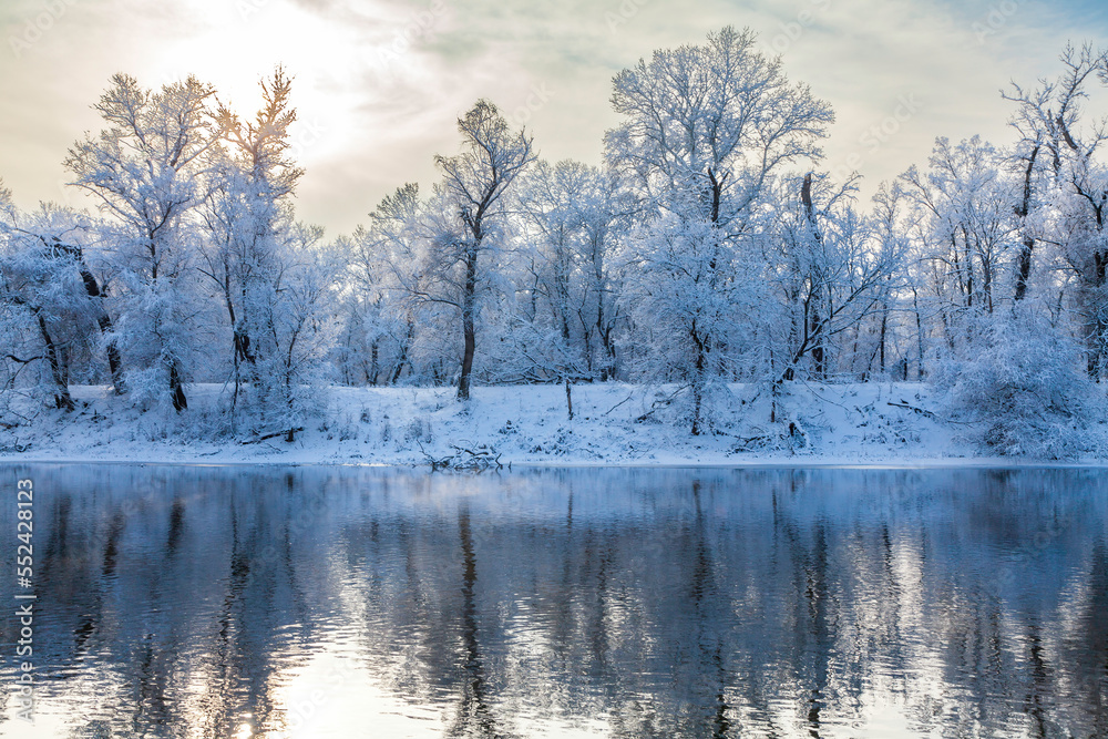 Winter landscape by the river. Trees on the riverbank are reflected in the water. Oaks after a snowfall against a haze-covered sky. Winter landscape by the river. Trees on the riverbank are reflected in the water. Oaks after a snowfall against a haze-covered sky.