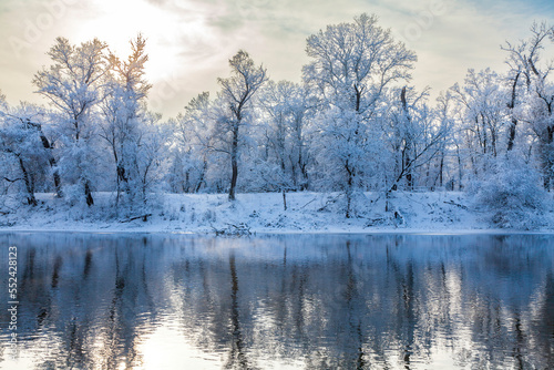 Winter landscape by the river. Trees on the riverbank are reflected in the water. Oaks after a snowfall against a haze-covered sky. © Mikhail