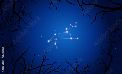 Vector illustration Leo constellation. Tree branches  dark blue starry sky  cosmos. Illustration of constellation scheme Leo zodiac sign
