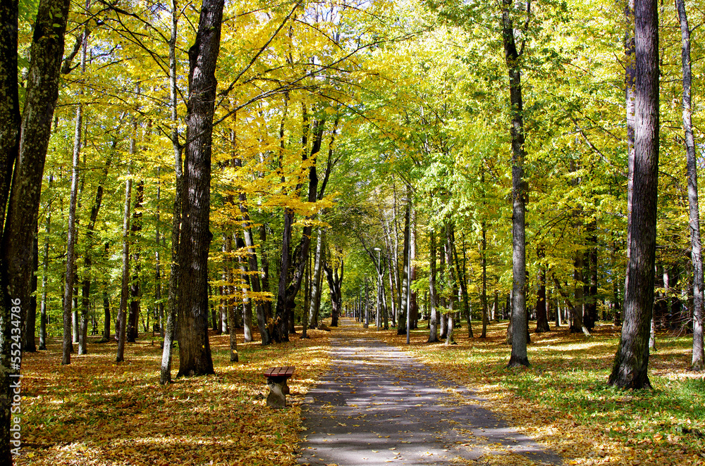 path in autumn park