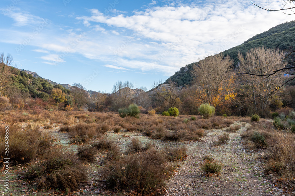 View of a forest with shrubs and deciduous trees on a mountain in Andalusia (Spain) on a cold winter morning