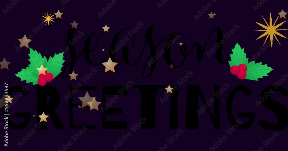 Animation of stars and mistletoe over season greetings text on black background Animation of stars and mistletoe over season greetings text on black background