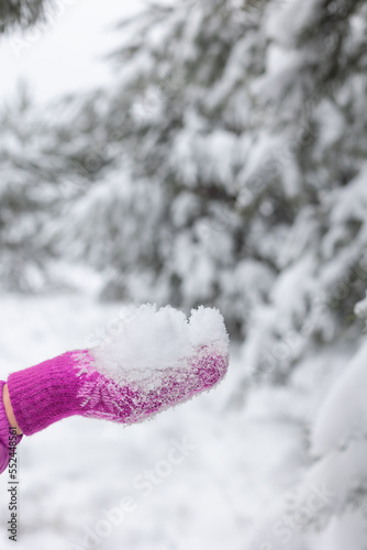 A lump of white snow lies on knitted mittens against the background of a winter forest. Selective focus.