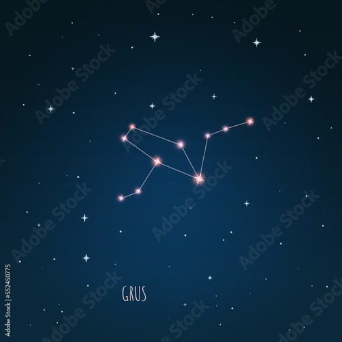 Constellation Grus scheme in starry sky. Open space. Vector illustration Grus constellation through a telescope.