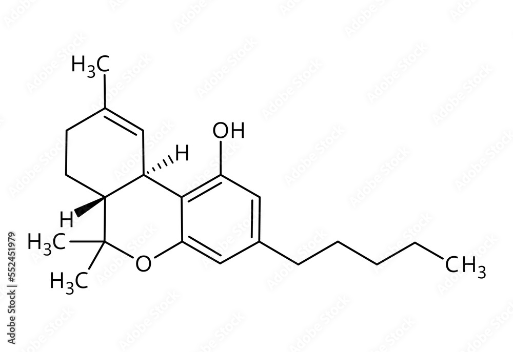 Tetrahydrocannabinol, or THC, molecular structure. Tetrahydrocannabinol is the principal psychoactive drug from cannabis. Vector structural formula of chemical compound with red bonds and black atom