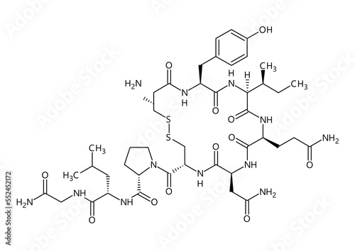 Oxytocin molecular structure. Oxytocin, the hormone of love, produced in the hypothalamus. Important role in reproduction, childbirth and social bonding. Vector structural formula of chemical compound
