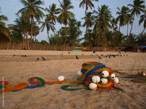 Fish net on beach with palms