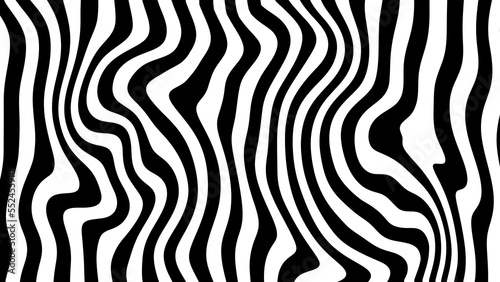 Zebra skin topographic backgrounds and textures with abstract art creations  random black and white waves line background