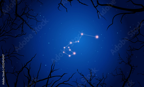 Vector illustration Carina constellation. Bright constellation in open space. Starry sky behind tree silhouette