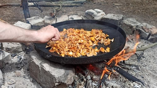 process of cooking fried chanterelles. Wild mushroom dish. Cooking chanterelles on big pan. Forest dish. Cooking delicious dish of mushrooms. Fried chanterelles
