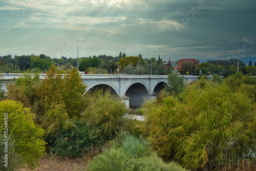 El puente