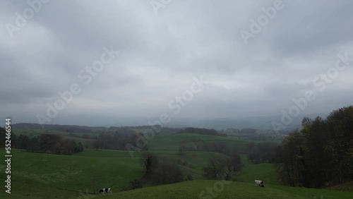 Aerial Capture of Countryside with Cows at Cloudy Time