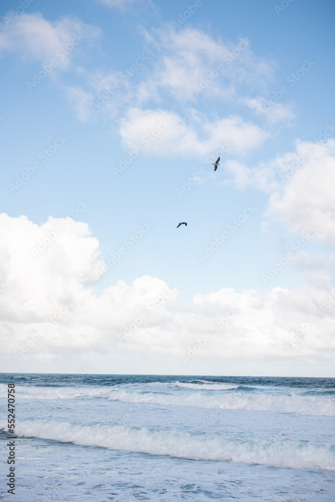 Atlantic ocean with some seagulls flying, blue sky with clouds.