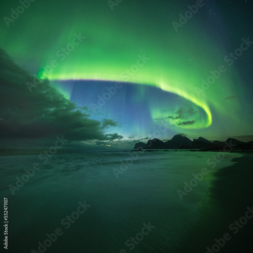 Northern lights - aurora borealis  Lofoten Islands  Norway
