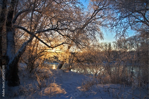 Photo the snow-covered river did not freeze in winter.The river flows in winter. Snow on the branches of trees. Reflection of snow in the river. Huge snowdrifts lie on the Bank of the stream.