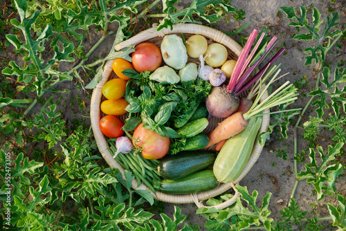 Top view of basket with many different vegetables herbs