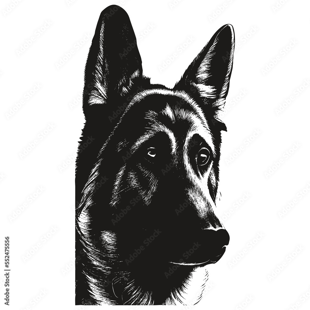 German shepherd face vector hand drawn ,black and white drawing of dog ...