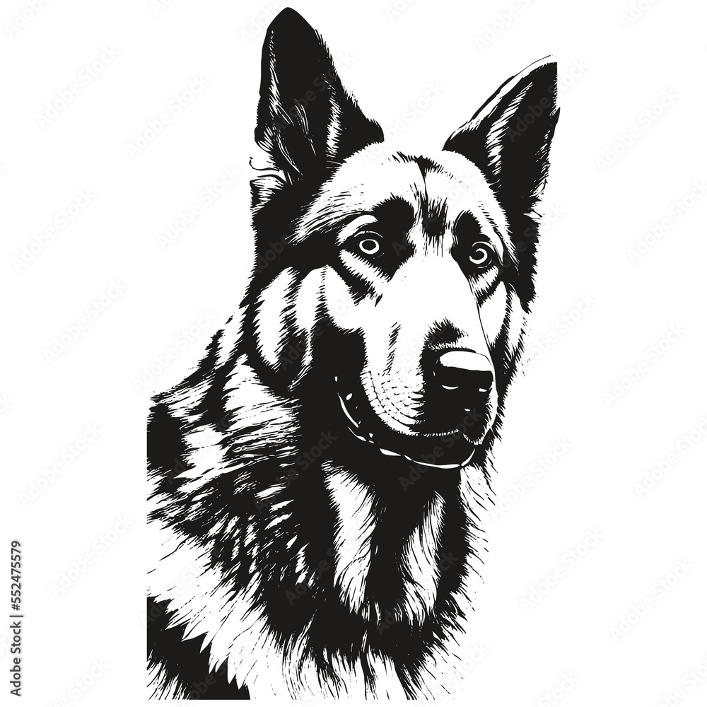 German shepherd line drawing vector ,black and white drawing of dog ...