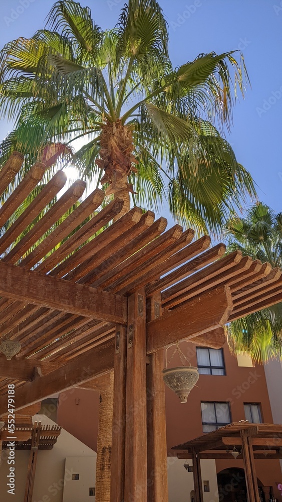 wooden canopy under a palm tree

