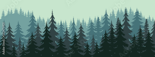 View of beautiful coniferous forest