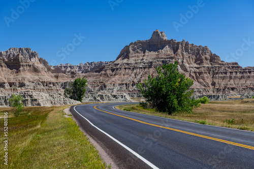 Road curves past a tree toward a colorful peak in Badlands National Park