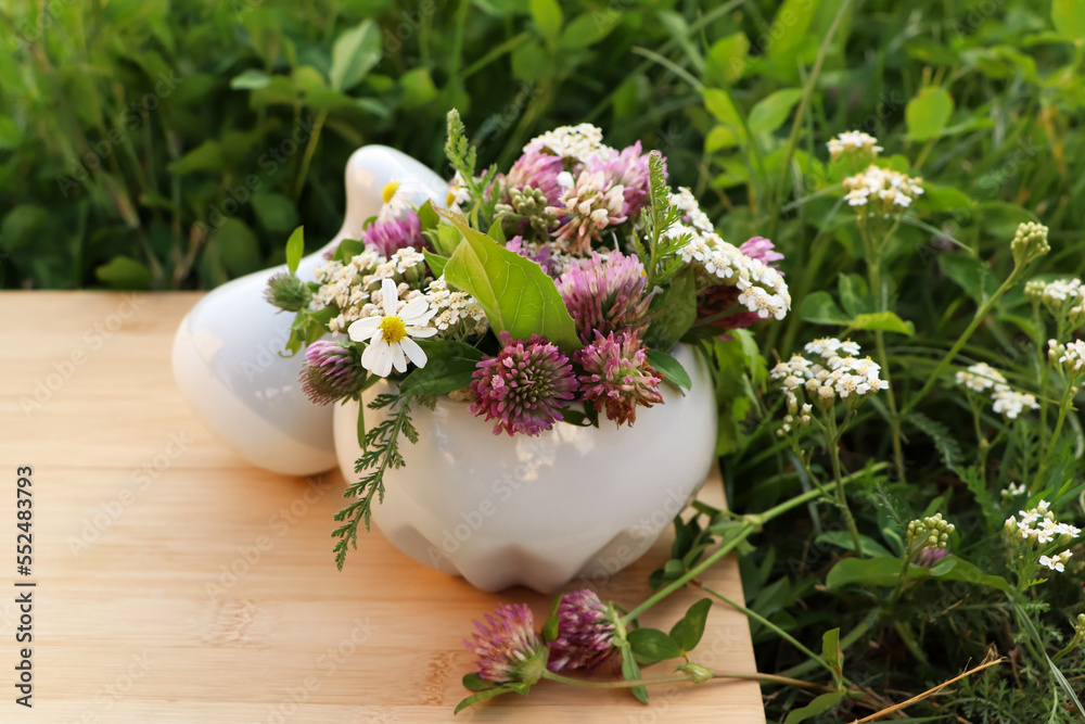 Ceramic mortar with pestle, different wildflowers and herbs on green grass outdoors