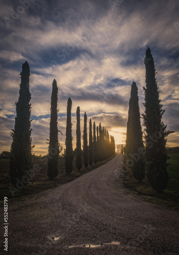 Countryside road with cypresses on sunrise. Typical landscape in Tuscany, Italy. October 2022