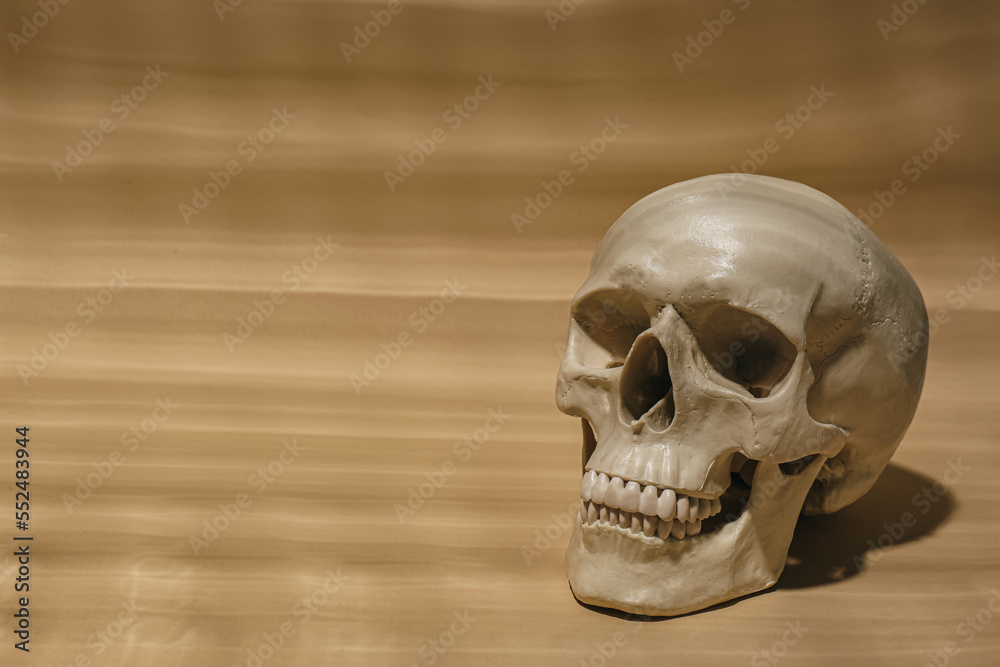 Human skull on beige background, space for text