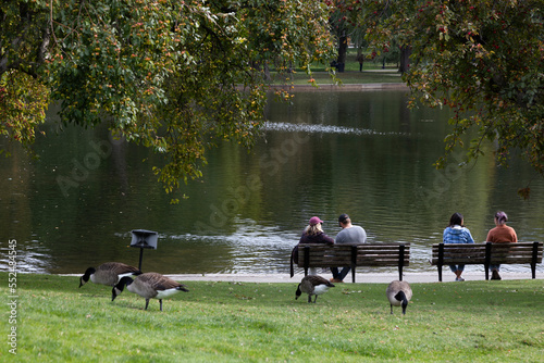 People sitting on a bench in front of a lake, Boston Commons, Massachusetts, USA photo