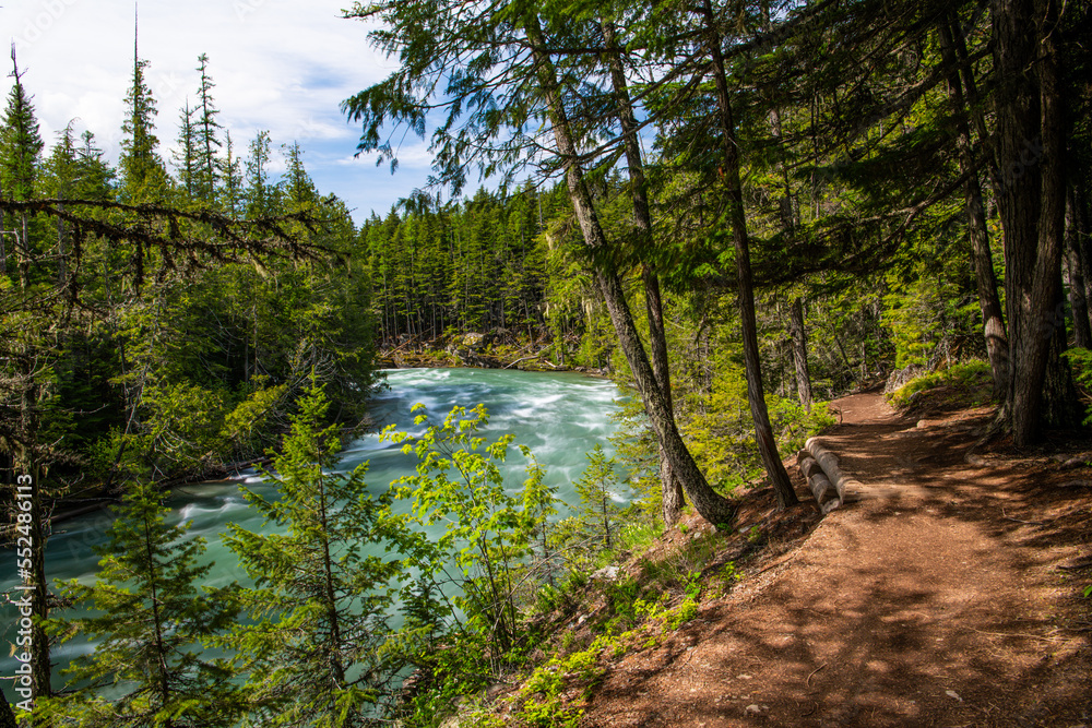 Hiking trail above a river - McDonald Creek Trail, Glacier National Park, Montana Hiking trail above a river - McDonald Creek Trail, Glacier National Park, Montana