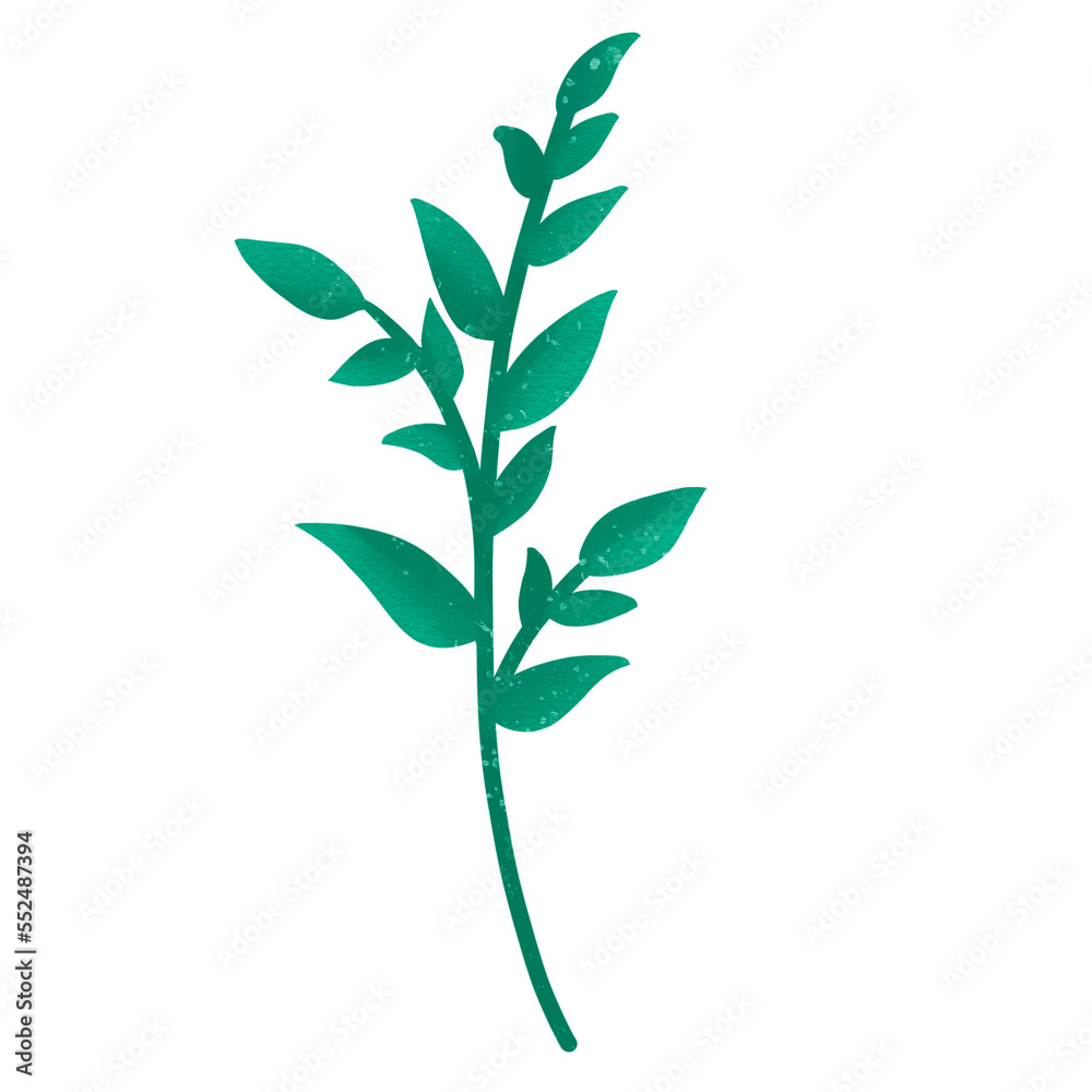 Fototapeta premium Watercolor Leaves Illustration Transparent